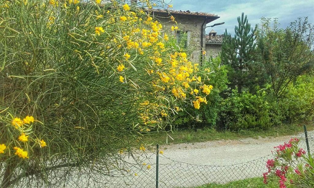 B&B Casale Giovannozzi Ascoli Piceno Exterior foto